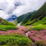 photo - trekking yatra