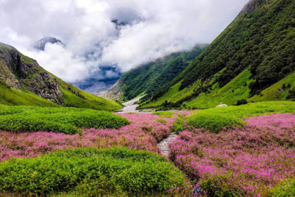 photo - trekking yatra