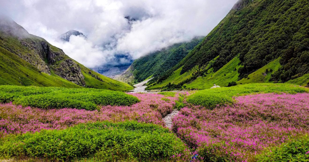 photo - trekking yatra